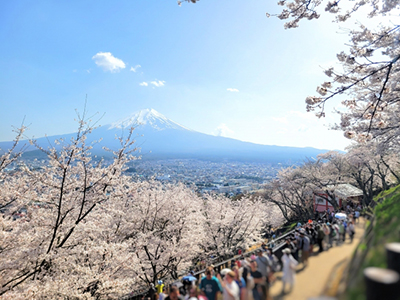 社員旅行や研修旅行に